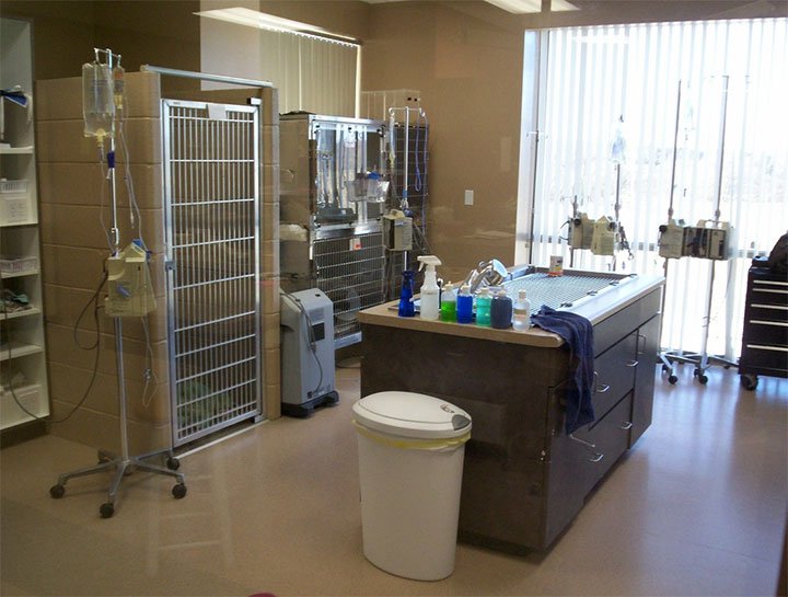 Emergency Veterinary Care